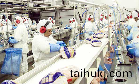 timg-(5).jpg timg-(5).jpg