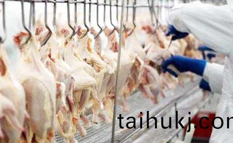 timg-(6).jpg timg-(6).jpg