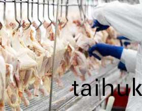 工人工(gong)作(zuo)流程(cheng)