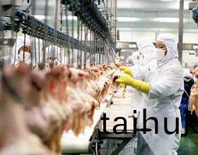 裁(cai)切(qie)鷄肉