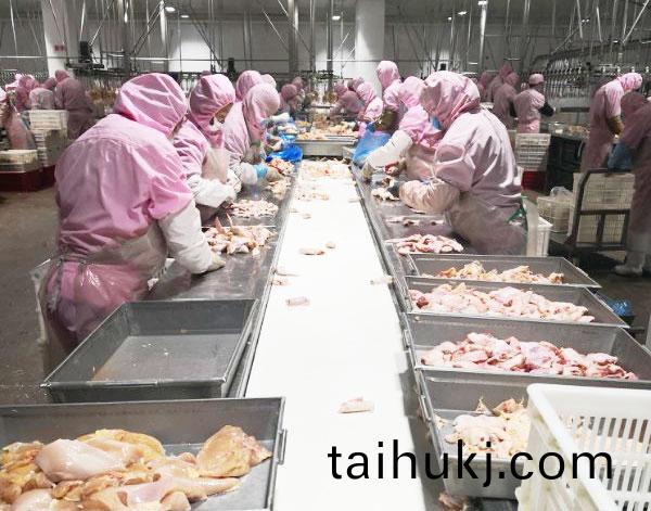 産(chan)品(pin)分揀(jian)