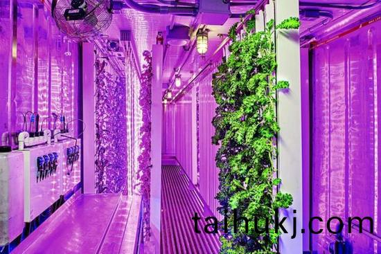 集裝箱辳場開始火了，特斯(si)拉CEO的弟弟也開始(shi)在